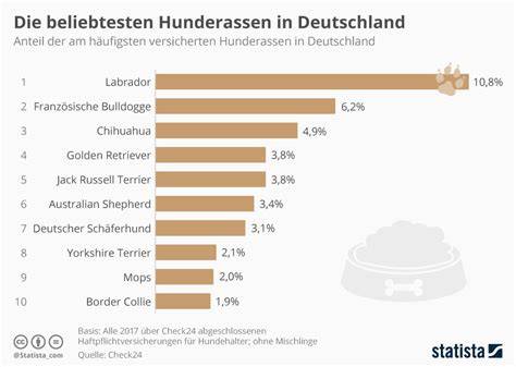 Infografik über die beliebtesten Pralinenarten und Schokoladenformen