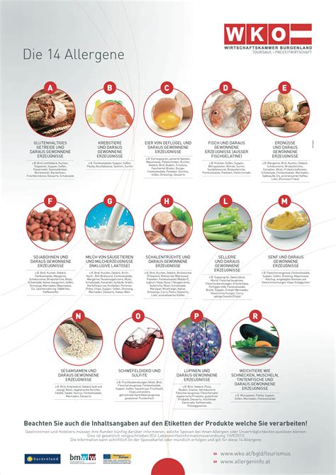 Infografik über typische Allergene und Zutaten in Frey Branches