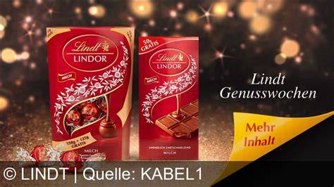 Infografik Aktuelle Lindt Kampagnen Schwerpunkte