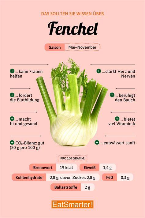 Infografik Antioxidantien und Immunstärkung Fenchel