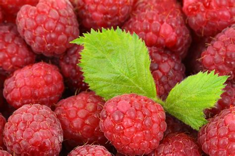 Infografik Apfel-Pekannuss-Kuchen: Zutaten, Varianten, Tipps
