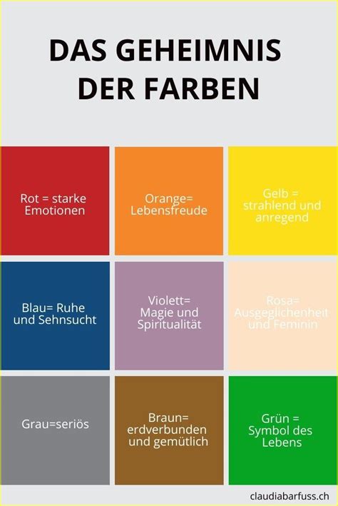 Infografik Carotine und ihre Bedeutung
