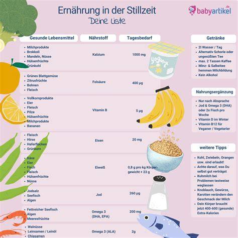 Infografik Ernährungsempfehlungen für Stillende