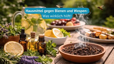 Infografik Hausmittel bei Wespen- und Bienenstich