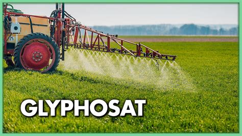 Infografik Honigrückstände: Zusammenfassung Glyphosat und weitere Pestizide