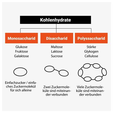 Infografik Klassifikation der Kohlenhydrate: Einfachzucker bis Polysaccharide