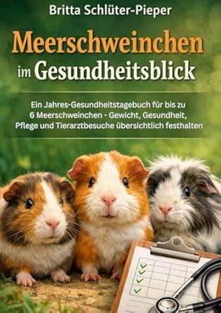 Infografik Meerschweinchen Pflege und Gesundheit