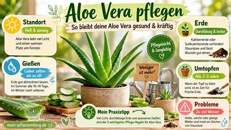 Infografik Nährstoffe Aloe Vera Blattfilet