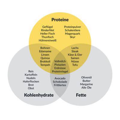 Infografik Nährstoffe in Cashewkernen: Fett, Protein, Kohlenhydrate, Vitamine