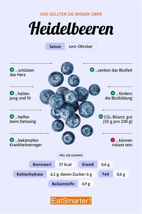 Infografik Nährstoffe in Chiasamen und Heidelbeeren
