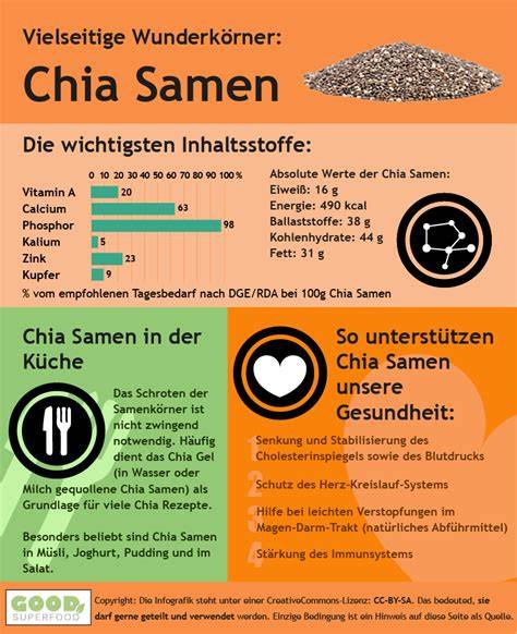 Infografik Nährstoffe von Chiasamen: Ballaststoffe, Omega-3, Protein