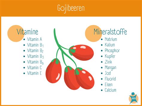 Infografik Nährstoffgehalt Goji-Beere