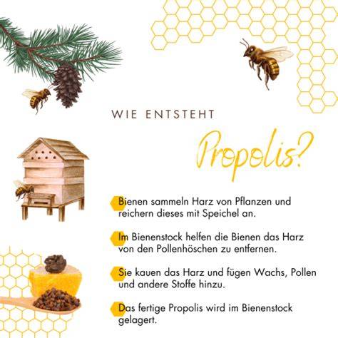 Infografik Propolis Zusammensetzung