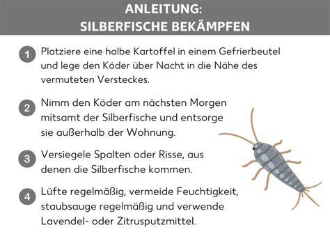 Infografik Silberfische vermeiden: Lüften, Abdichten, Aufbewahrung