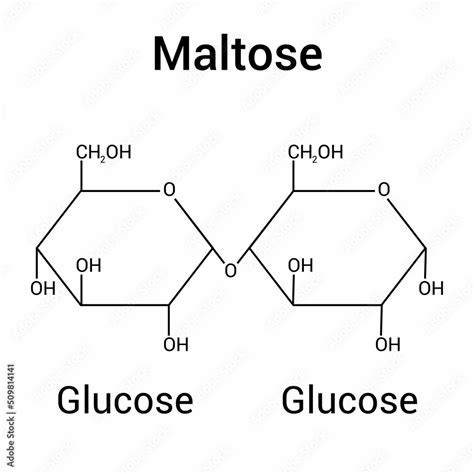 Infografik Struktur von Maltose