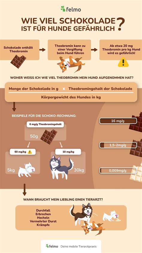 Infografik Zutaten Schoko-Chai