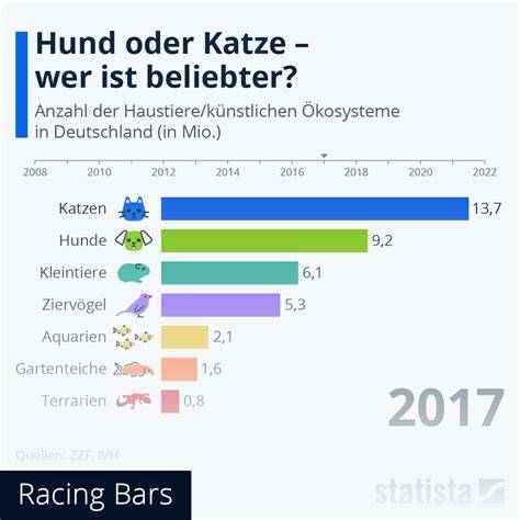 Infografik der beliebtesten Kekse