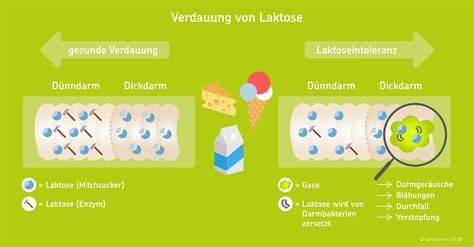 Infografik zu Laktose- und Glutenfreiheit