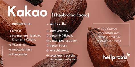 Infografik zu Theobromin, Anandamid, PEA, Magnesium im Kakao