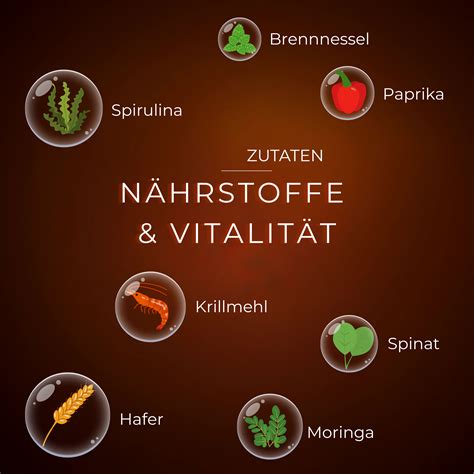 Infografik zu Vitalkeksen: Nährstoffe und Zutaten