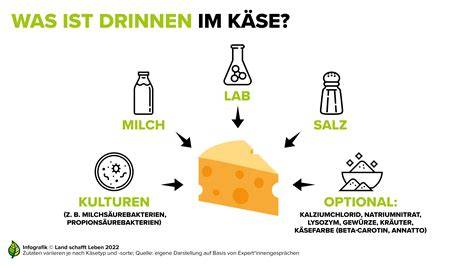 Infografik zu Zutaten und Produktion von Honiglikör