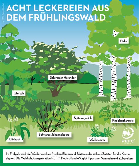 Infografik zu beliebten Lebkuchensorten aus dem Spezialitätenhaus