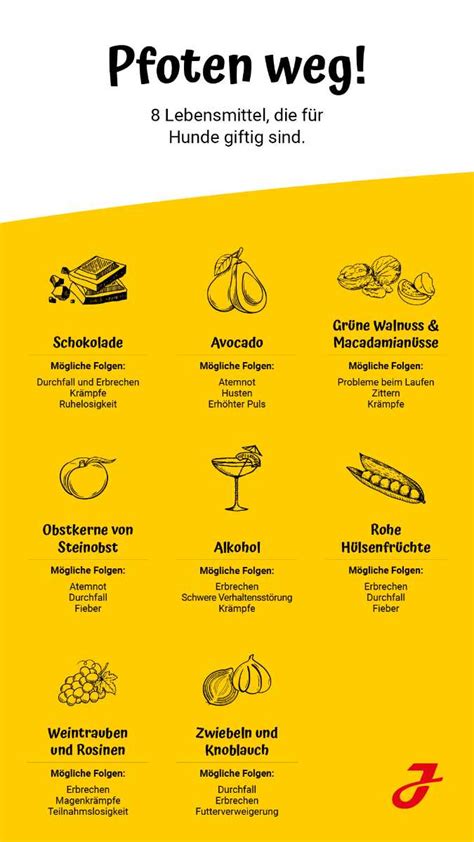 Infografik zu geeigneten und ungeeigneten Süßungsmitteln für Babys