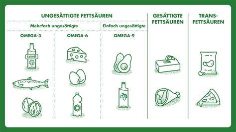 Infografik zu gesättigten und ungesättigten Fettsäuren im Vergleich