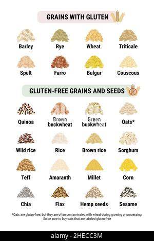 Infografik zu glutenhaltigen und glutenfreien Zutaten
