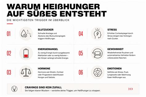 Infografik zu hormonellen Einflüssen auf Heißhunger