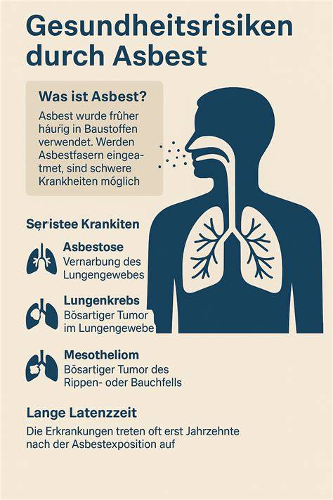 Infografik zu möglichen Gesundheitsrisiken der Inhaltsstoffe
