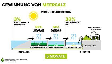 Infografik zur Herstellung von Schokoladenmandeln mit Meersalz: Schritte, Temperatur und Timing