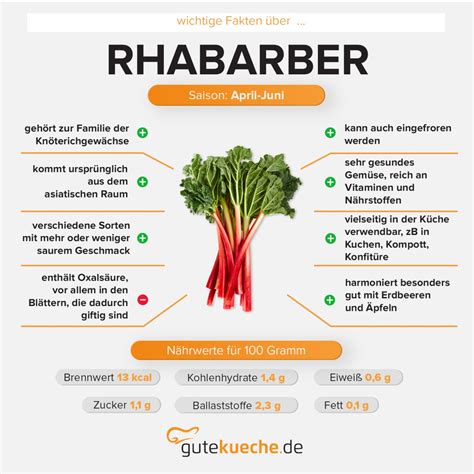 Infografik zur Nährstoffverteilung von Rhabarber
