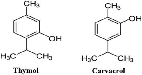 Infografik zur Wirkungsweise von Thymol und Carvacrol in Thymianöl
