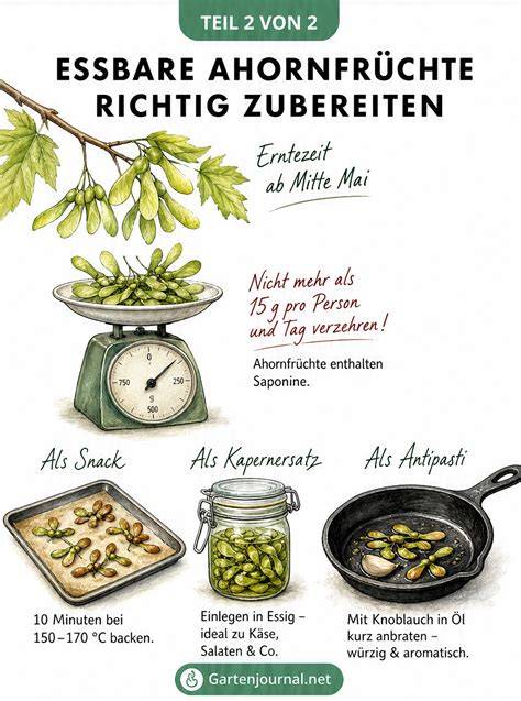 Infografik zur Zubereitung des Schatt Kuchens