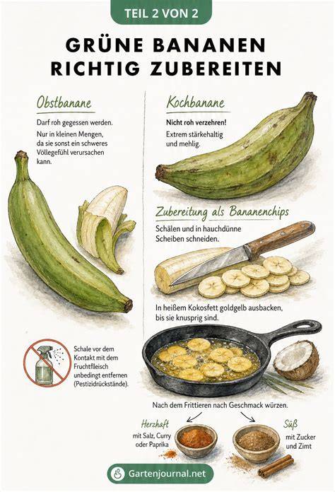 Infografik zur Zubereitung gefrorener Schoko-Bananen