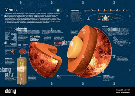 Infografik zur Zusammensetzung und Funktion der Goufrais-Zutaten