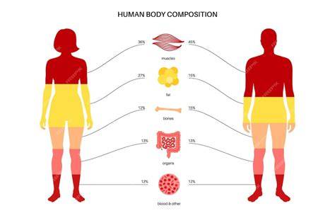 Infografik zur Zusammensetzung von Nosuga Limonaden