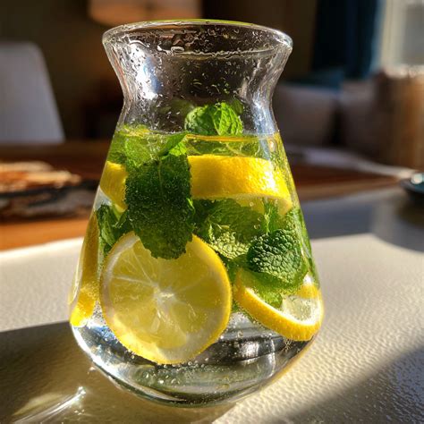 Infused Water mit Zitrus und Minze