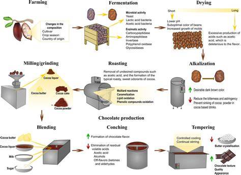 Ingredients and production flow of chocolate (schematic)