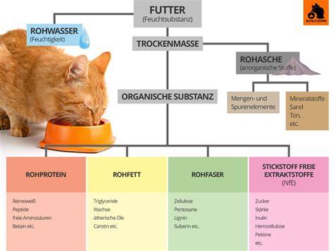 Inhaltsstoffe Katzenfutter Infografik