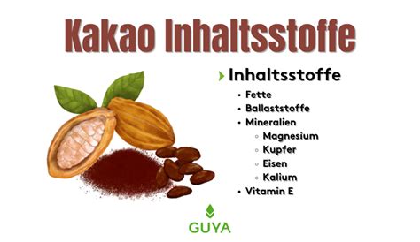 Inhaltsstoffe von Kakao - Flavonoide, Mineralien und gesunde Fette