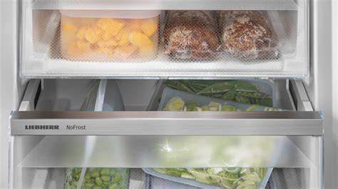 Innenansicht mit Frischezonen und NoFrost