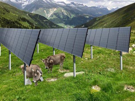 Innovative Zucker- und Energieproduktion bei Omnicane