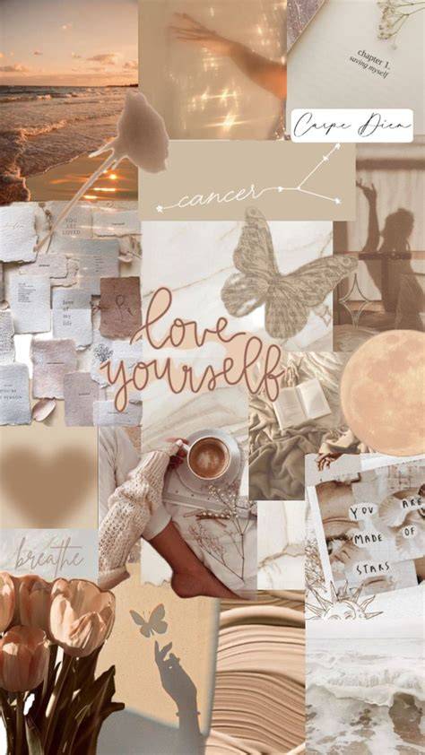 Inspirierende Moodboard-Collage moderner Schokoladenetiketten