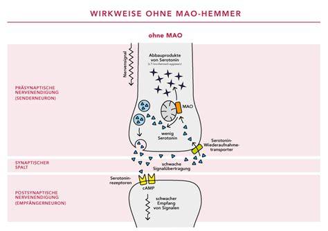 Interaktionsschema Tyramin-reiche Lebensmittel und MAO-Hemmer