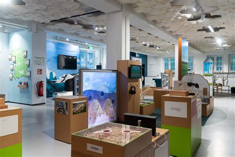 Interaktive Ausstellung mit Nüssen, Mandeln und Quizstationen