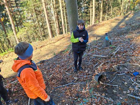 Interaktive Entdeckungsreise für Kinder im Wald