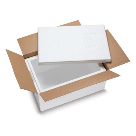 Isolierbox mit gekühlten Fleischprodukten für Versand