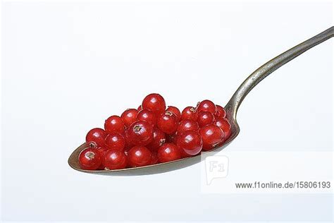 Johannisbeeren auf einem Löffel